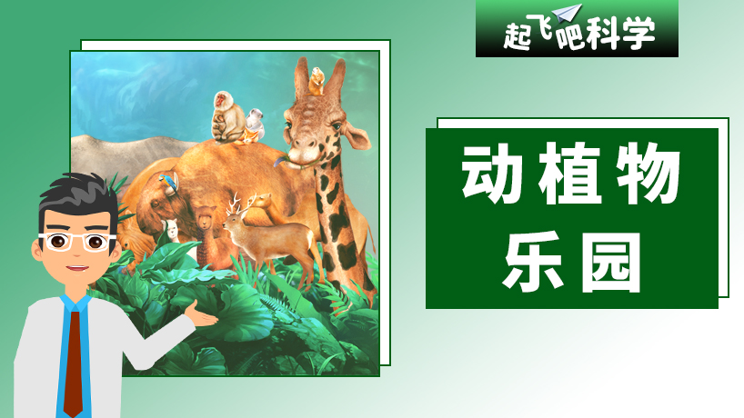 起飞吧科学-动植物乐园