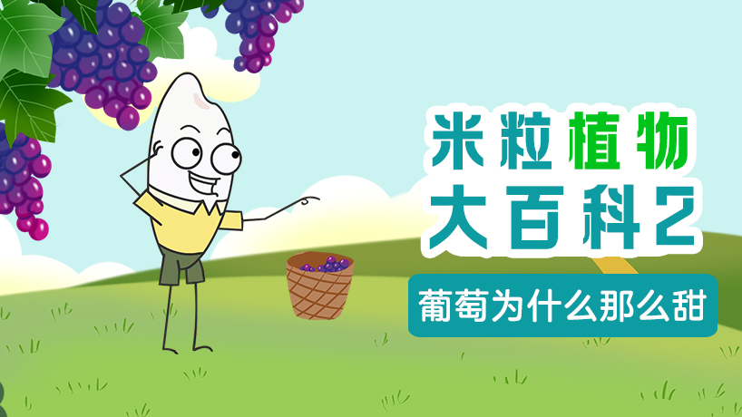 米粒植物大百科2