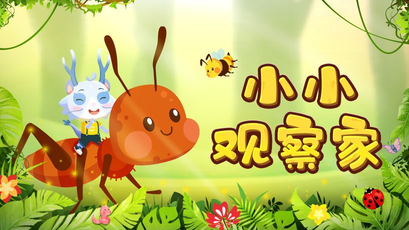 小小观察家