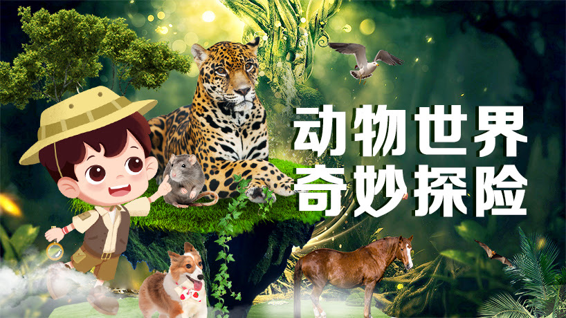 动物世界奇妙探险