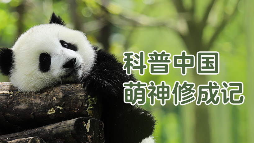 科普中国之萌神修成记