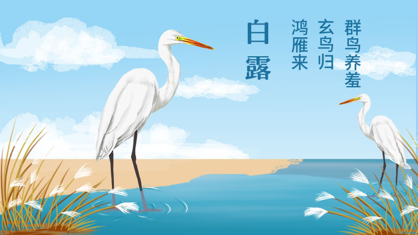 白露