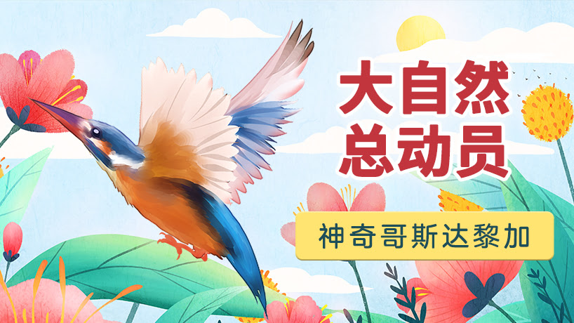 大自然总动员：神奇哥斯达黎加