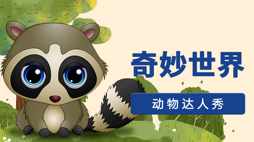 今天我学会啦：动物达人秀