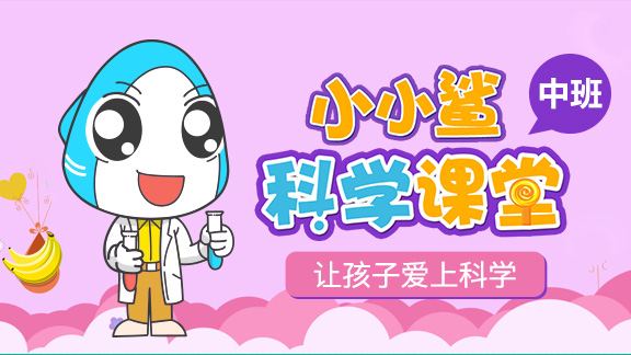 小小鲨科学课堂-中班