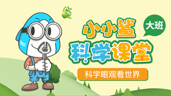 小小鲨科学课堂-大班