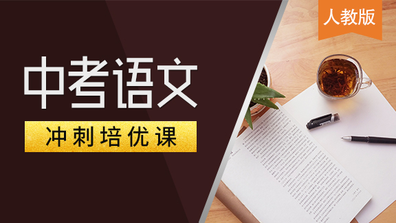 人教版中考语文专项提高