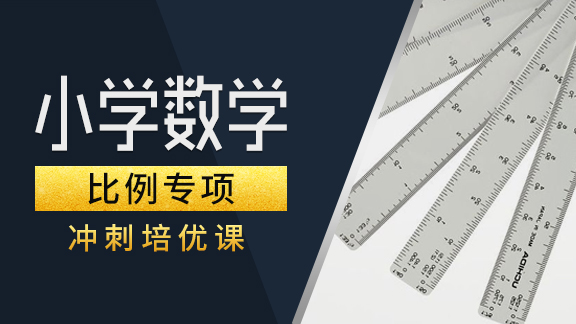 小学数学【比例】专项提高