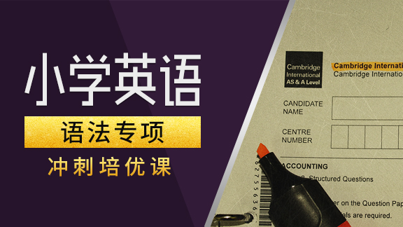 小学英语【语法】专项提高