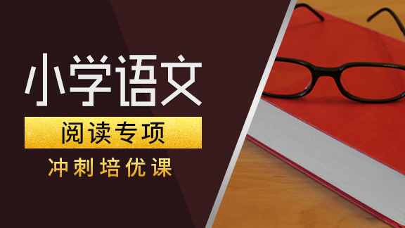 小学语文【阅读】专项提高