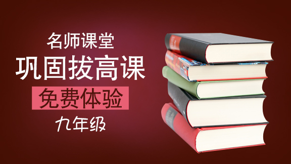 九年级下巩固拔高课