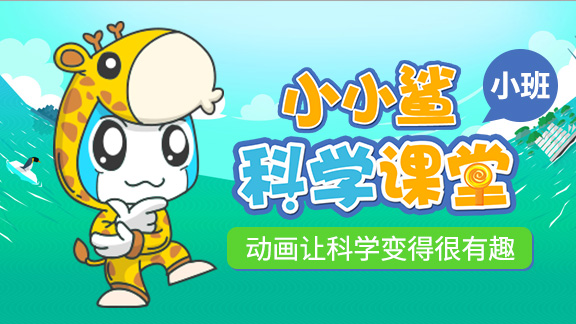 小小鲨科学课堂-小班