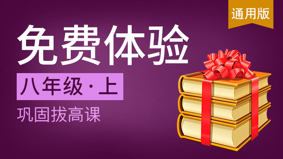 八年级上巩固拔高课