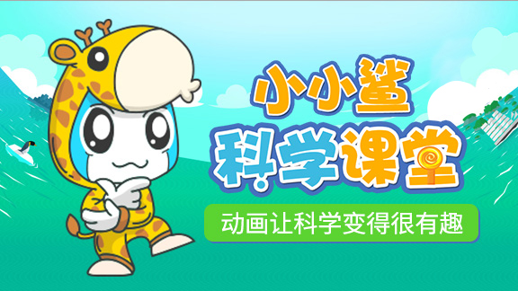 小小鲨科学课堂全集