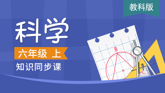 教科版六年级科学上册
