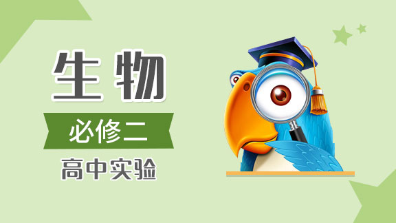 高中生物实验必修2