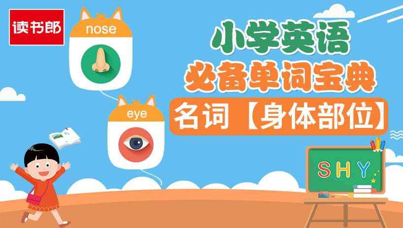 小学必备单词-名词【身体部位】