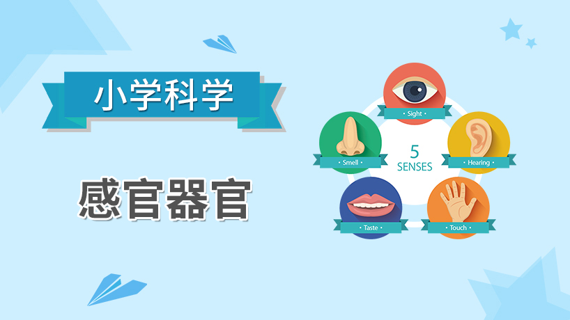 小学科学-感官器官