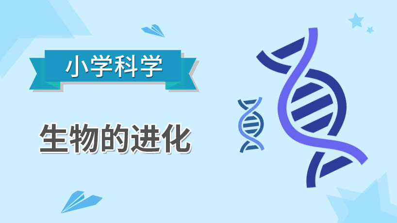 小学科学-生物的进化