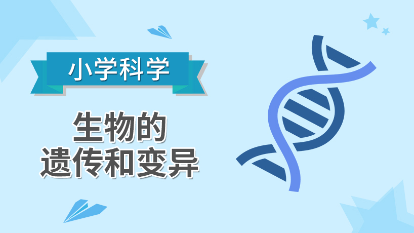 小学科学-生物的遗传和变异