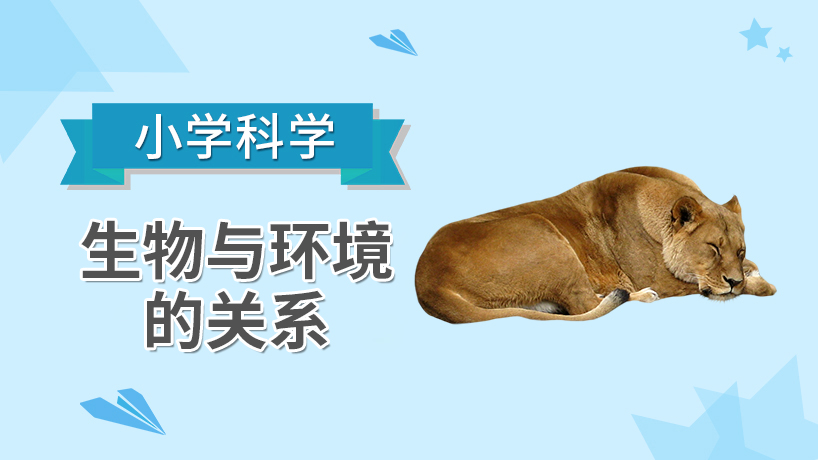 小学科学-生物与环境的关系