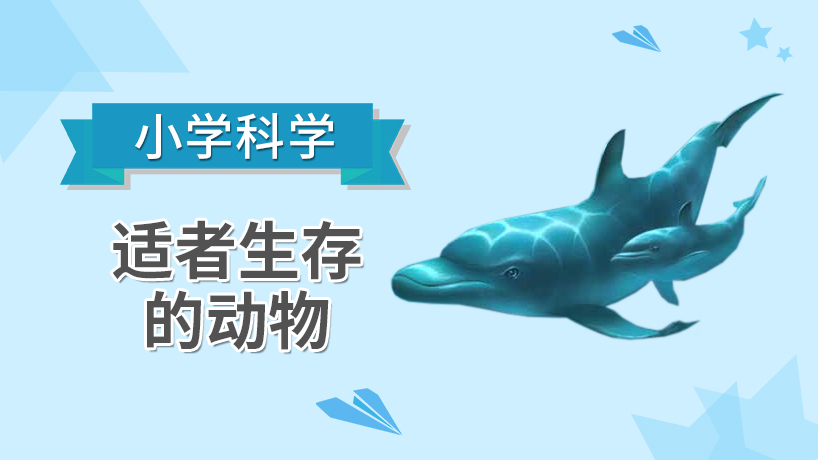 小学科学-适者生存的动物
