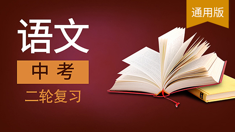 中考语文二轮复习课