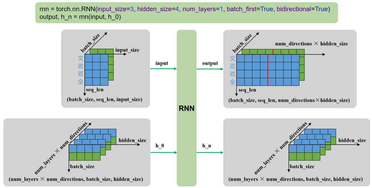 input、output、h_n 的形状