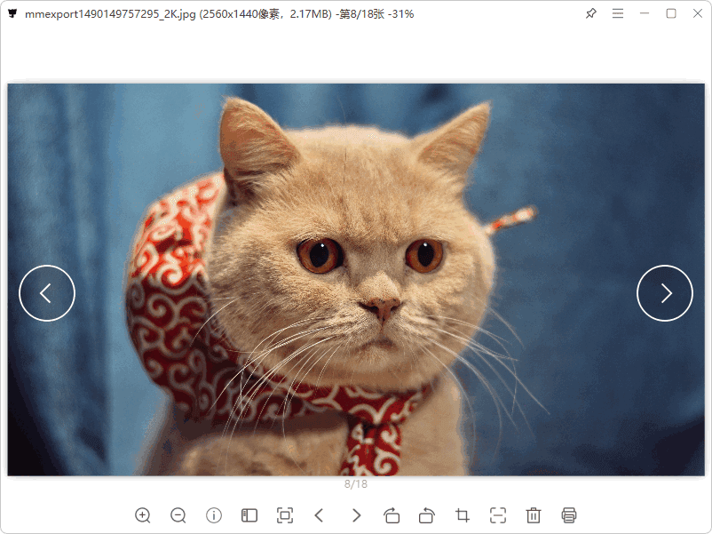 图片[1]-灵猫看图 v1.1.2「简单清爽看图」-大海资源库