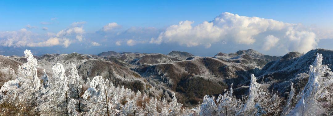 我把一冬的念想捏成了一个雪球